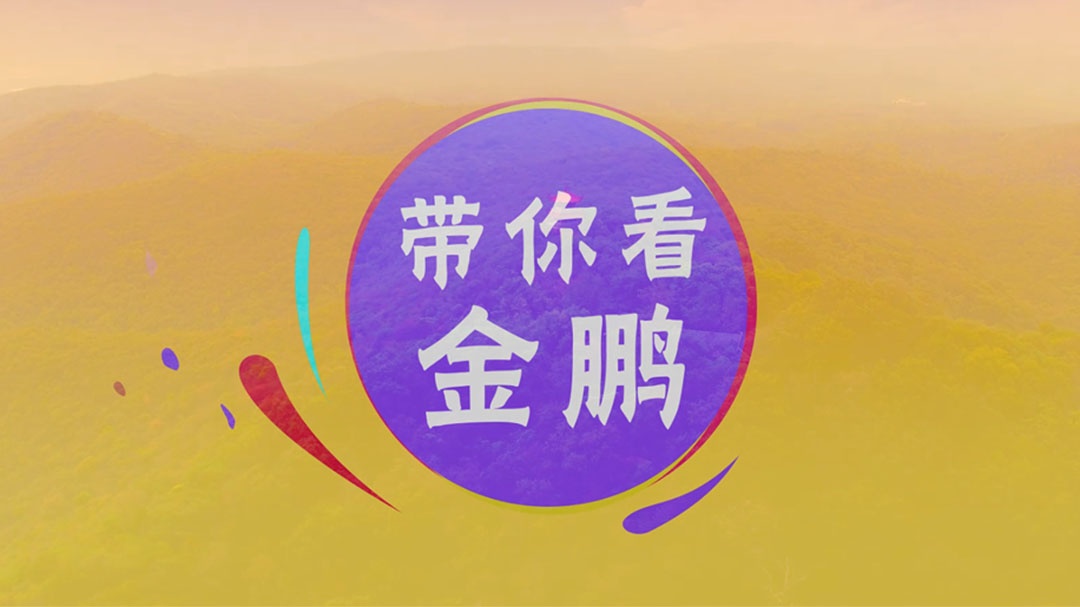 C7娱乐