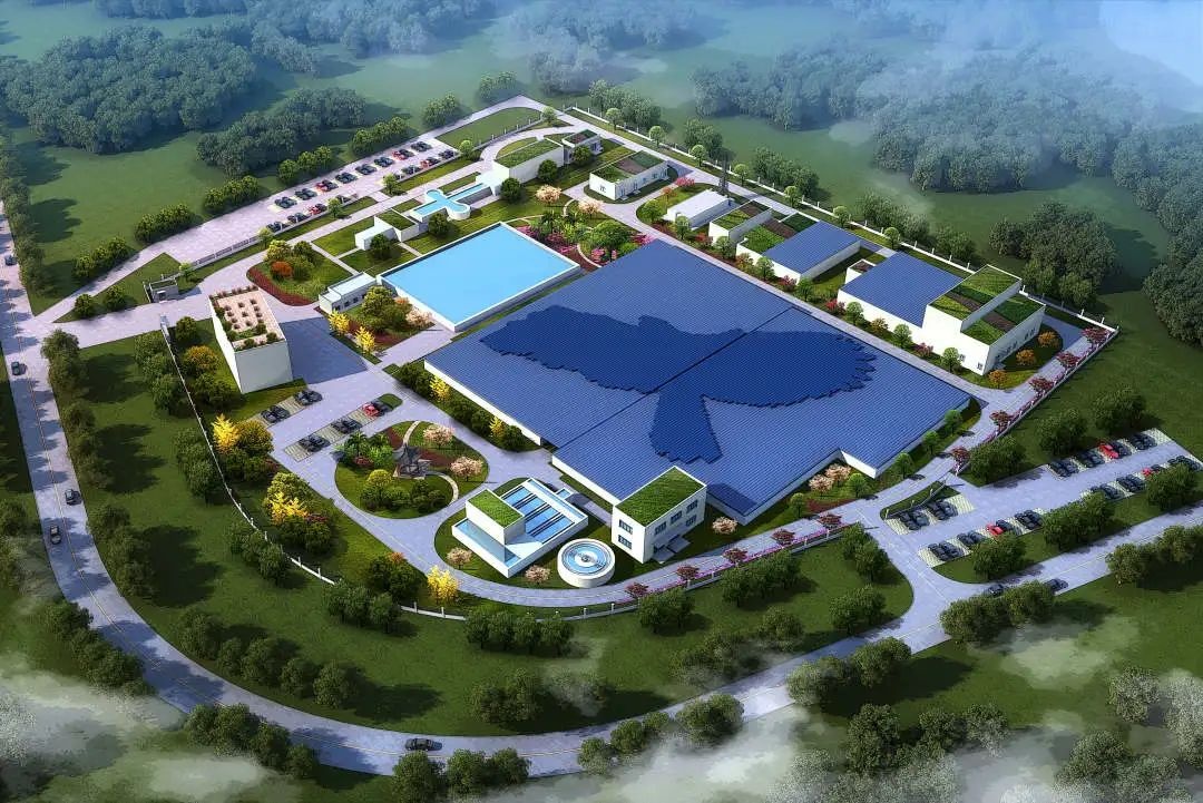 C7娱乐