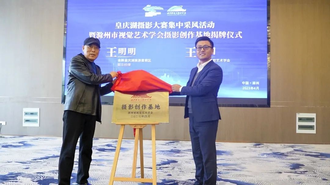 C7娱乐