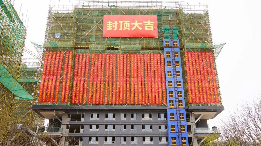 C7娱乐